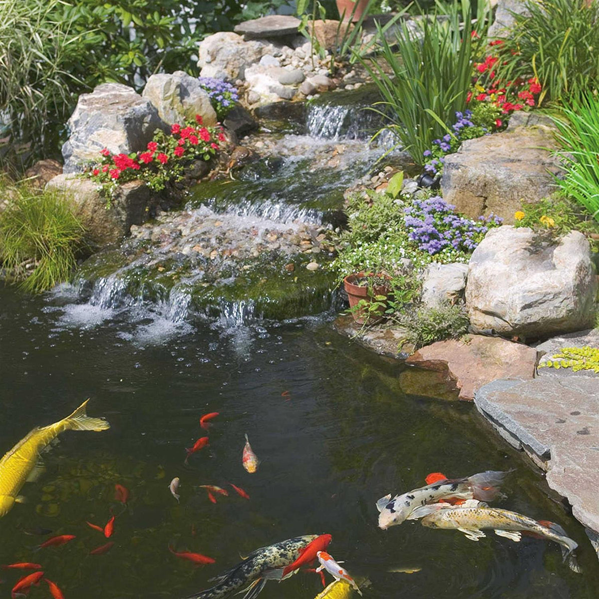 Goldfish & Koi Food R7054