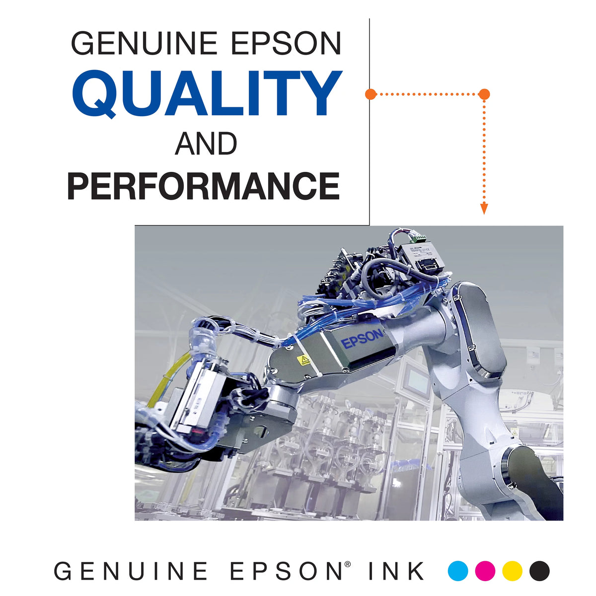 EPSON 202 Claria Ink Standard Capacity Black & Color Cartridge Combo Pack S611719