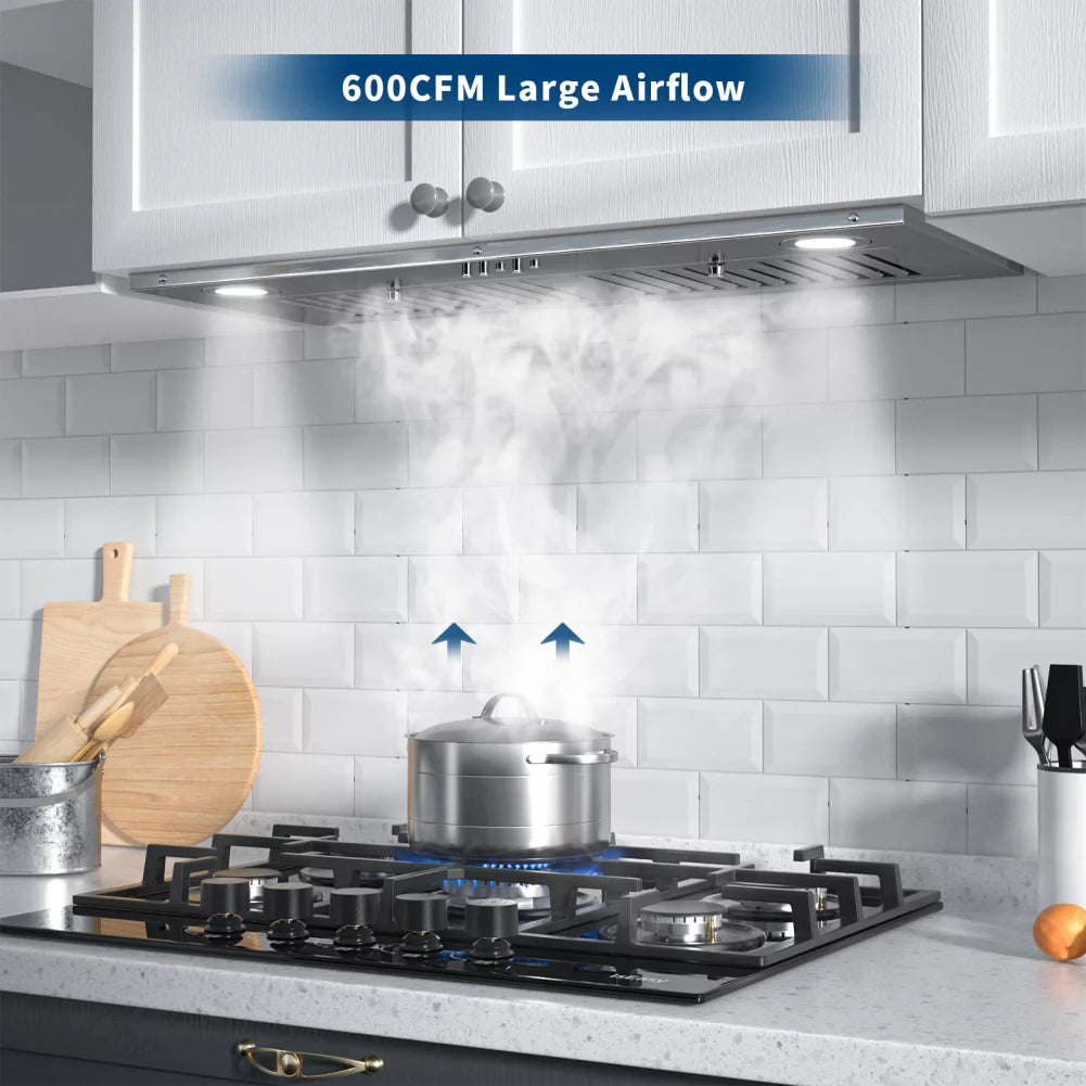 30 inch 500 CFM Stainless Steel Wall Mount Range Hood G455672