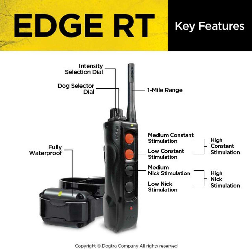 Dogtra EDGE RT Z481