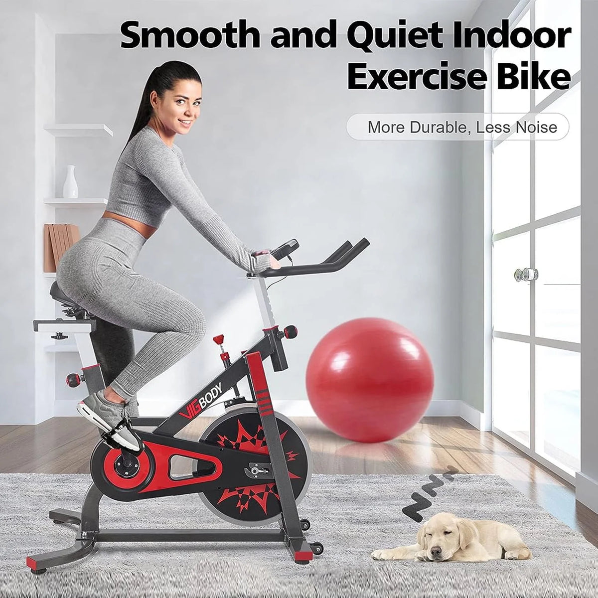 Exercise Bike Stationary Indoor Cycling Bicycle R601581