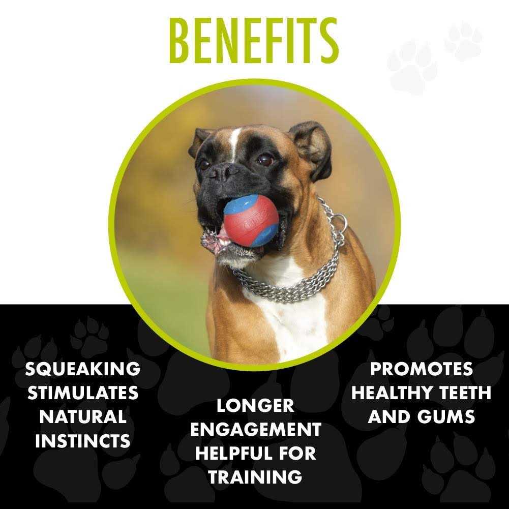 Armor Ball Dog Toy N499