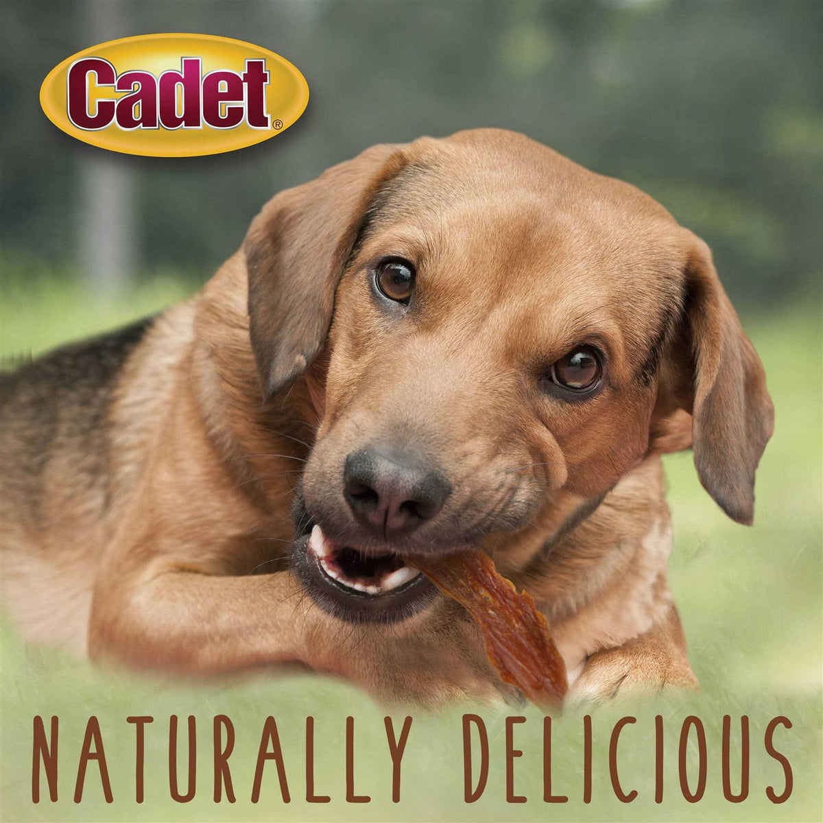 Duck Breast Treats R184358
