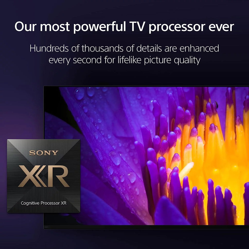 65 Inch 4K HDR OLED Smart Google TV D28398