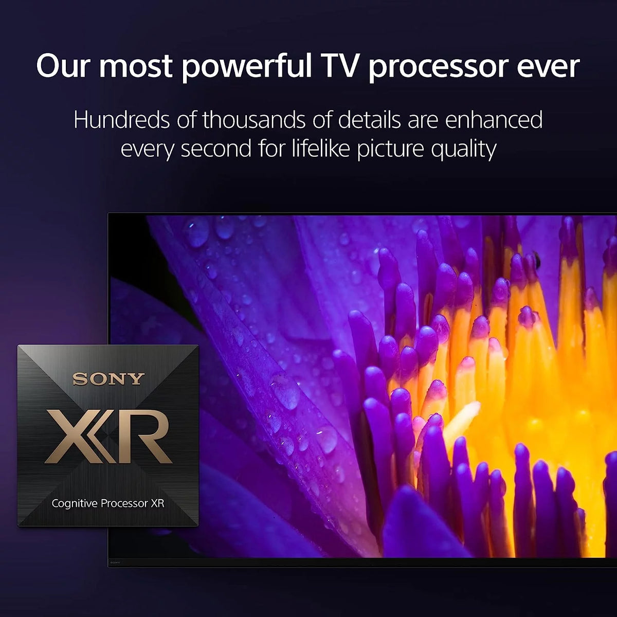 65 Inch 4K HDR OLED Smart Google TV D28398