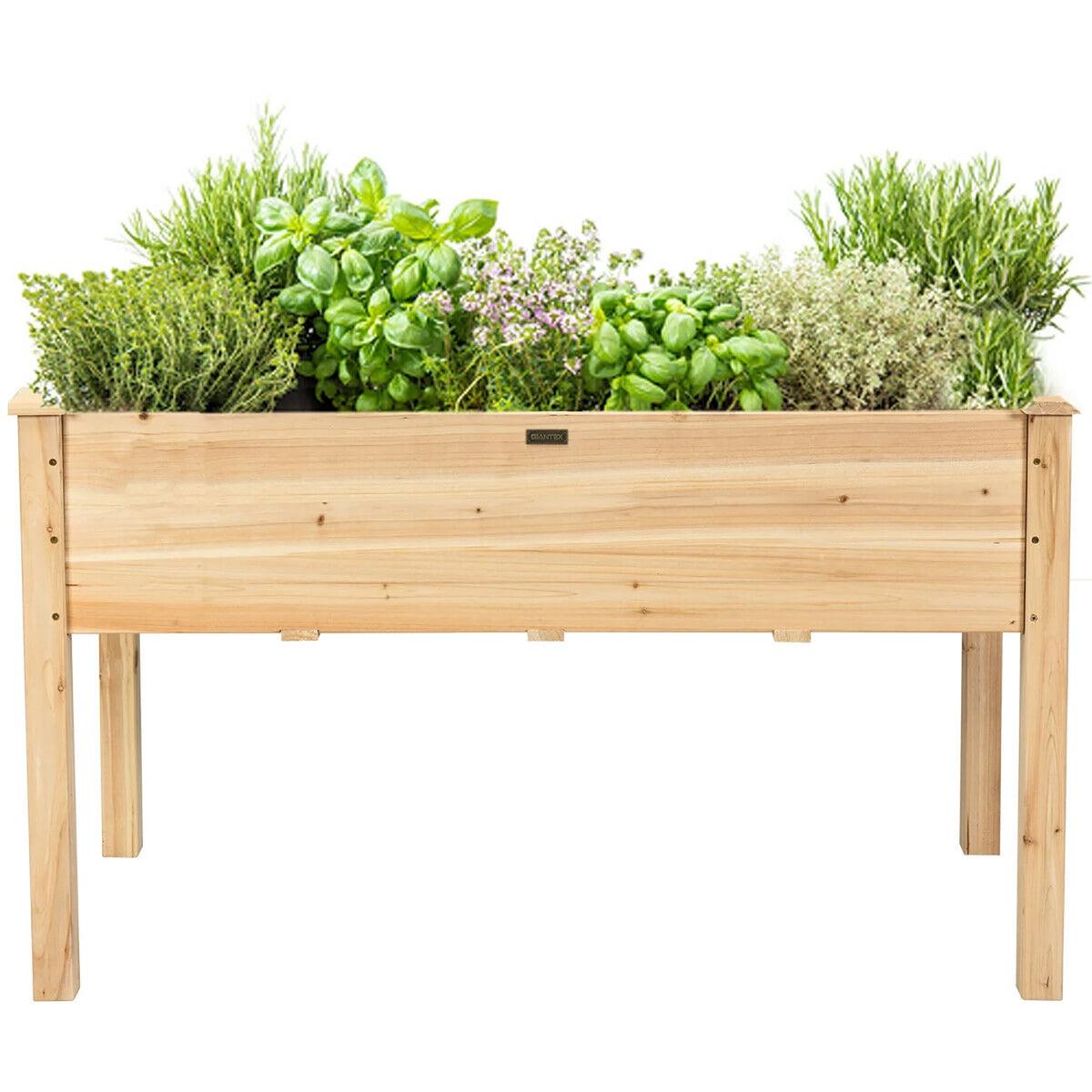 Wooden Raised Garden Bed T553