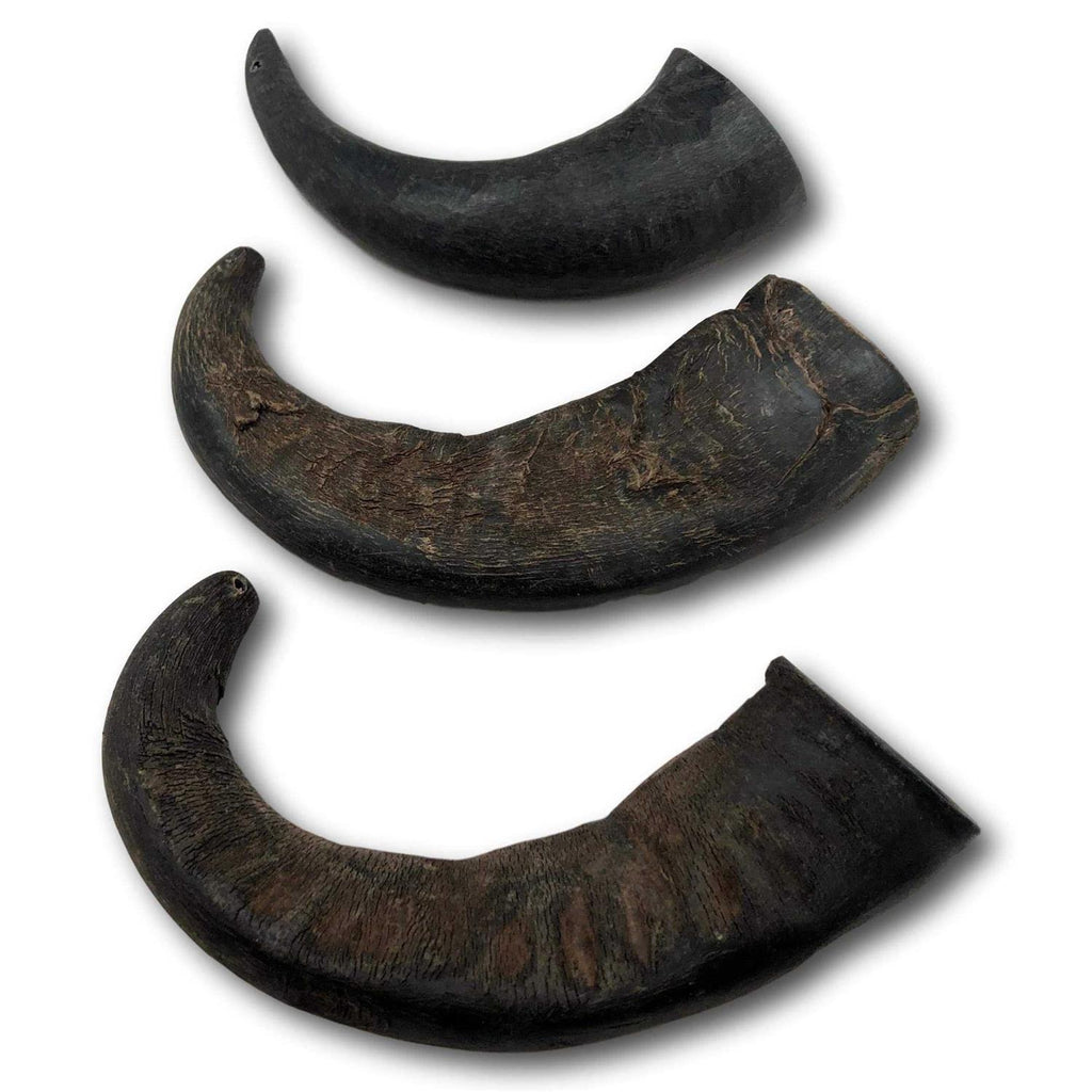 Natural Water Buffalo Horns Dog Treats W11204