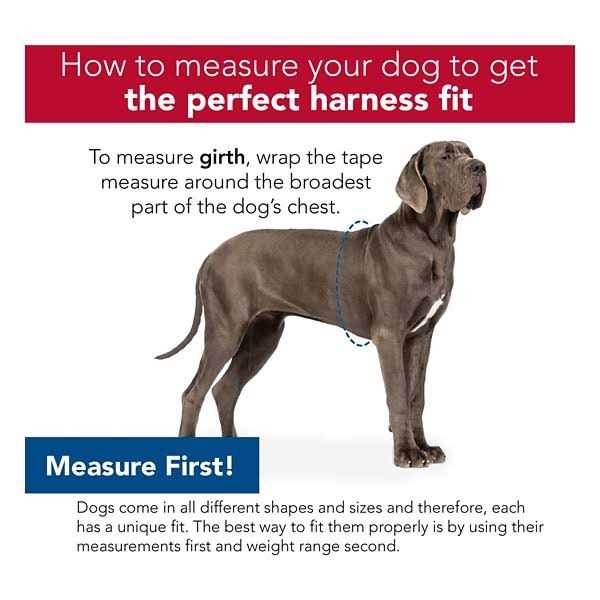 Reflective Front-Connect Harness Y141