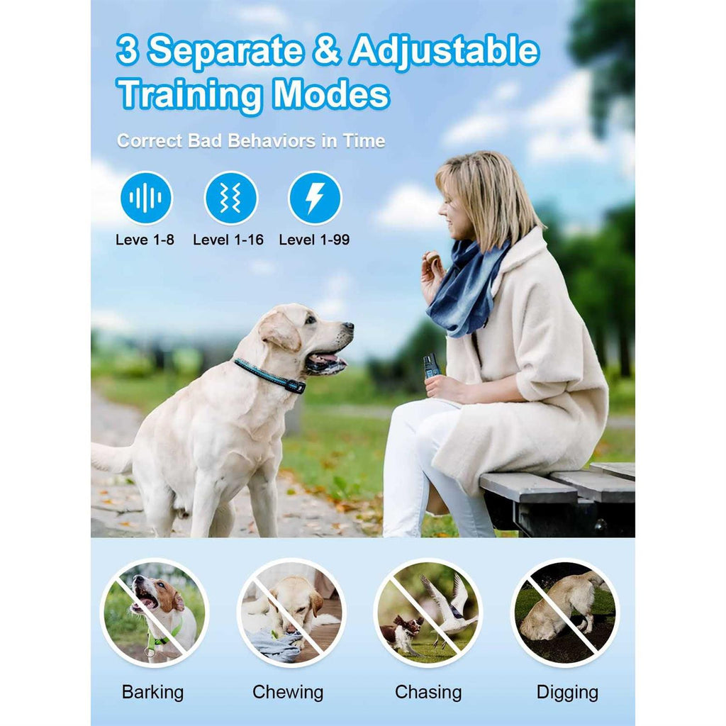 Waterproof Dog Training Collar with Rechargeable Remote Z716607