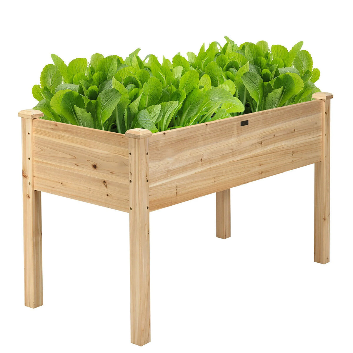 Wooden Raised Garden Bed T553