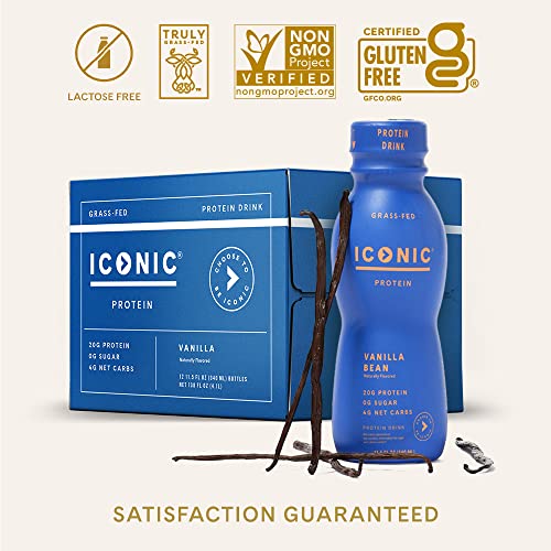 Chocolate Truffle Sugar Free 20g Protein Drinks 12 Pack W25482