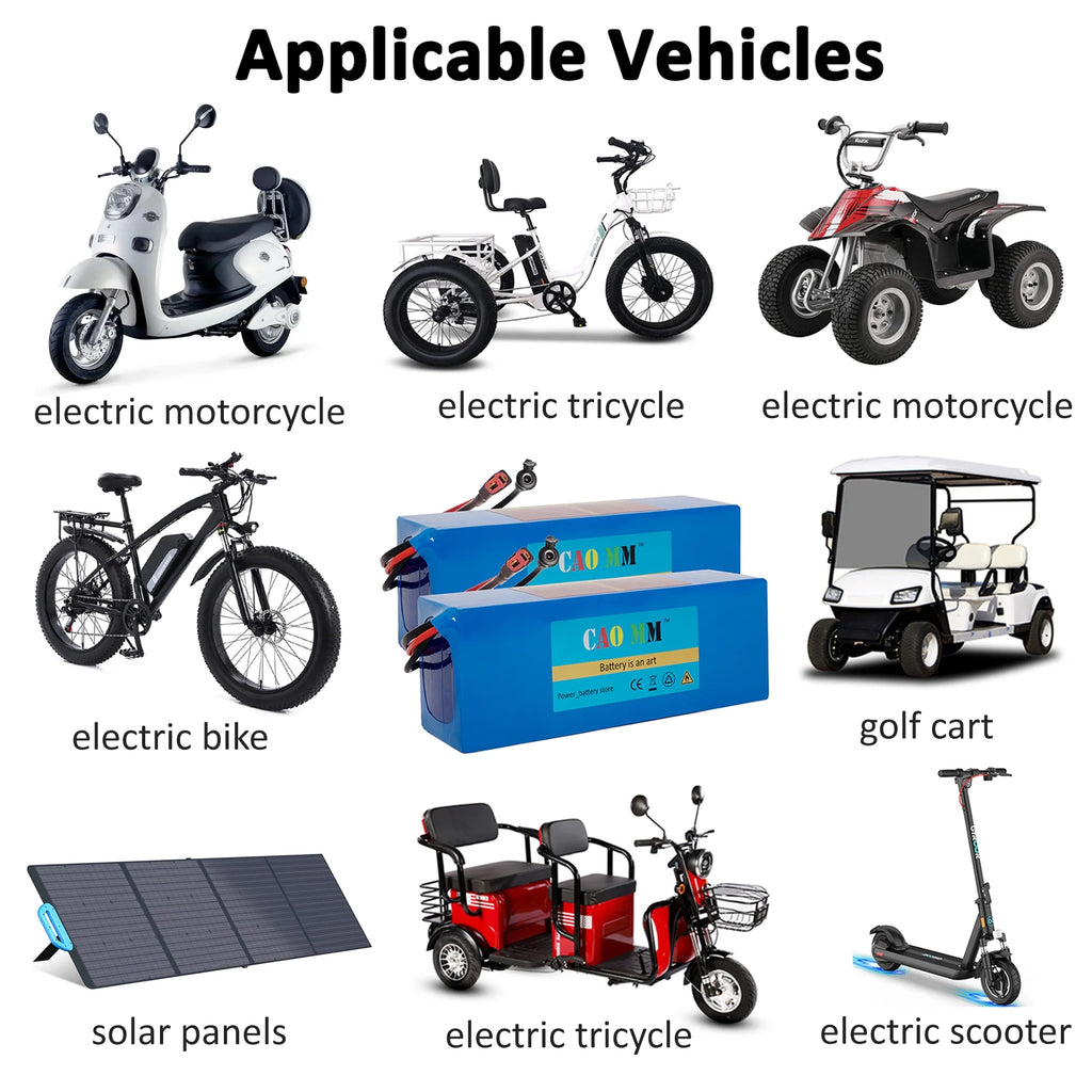 48V 8Ah Lithium Ebike Battery with 2A Charger E298044