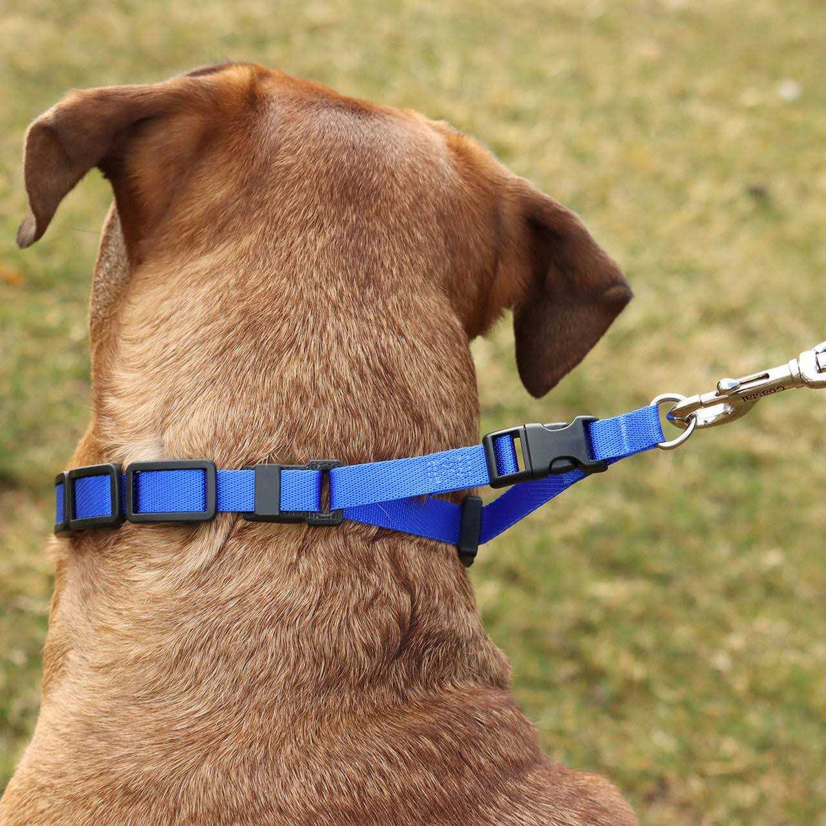 Natural Control Training Collar T232