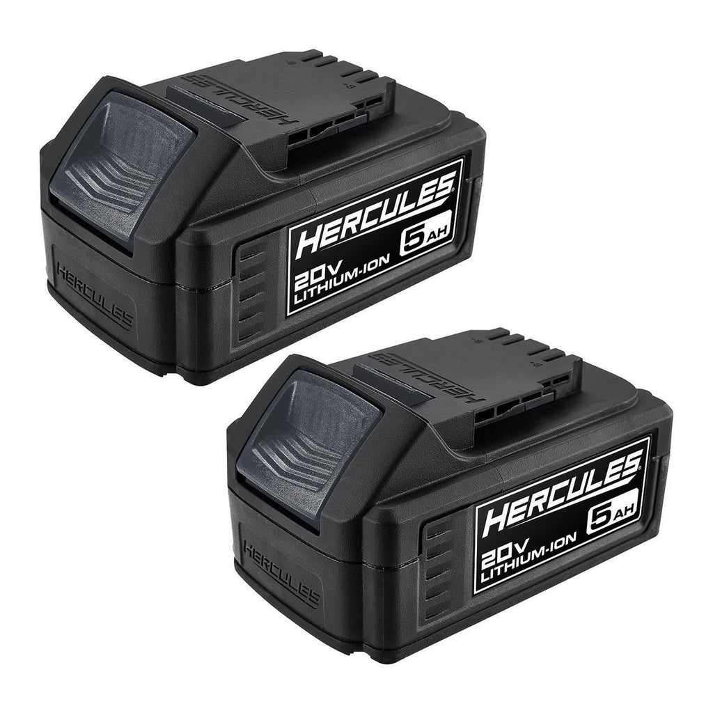 20V 5 Ah Lithium-Ion Battery 2-Pack I444953