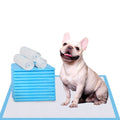 Super Absorbent & Leak-Proof Dog Pee Training Pads V7973