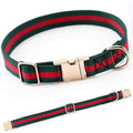 Adjustable Dog Collar with Metal Buckle O737