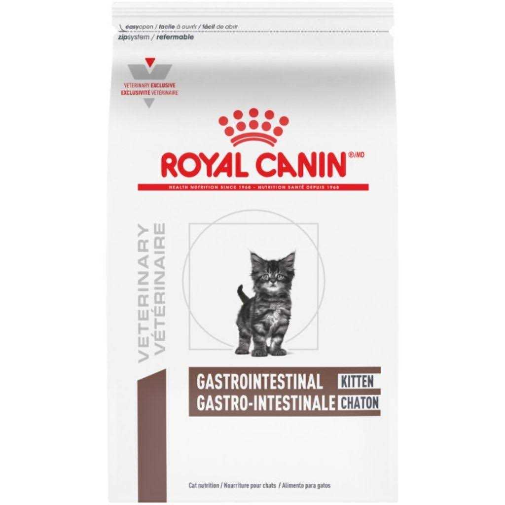 Kitten Dry Cat Food M6384