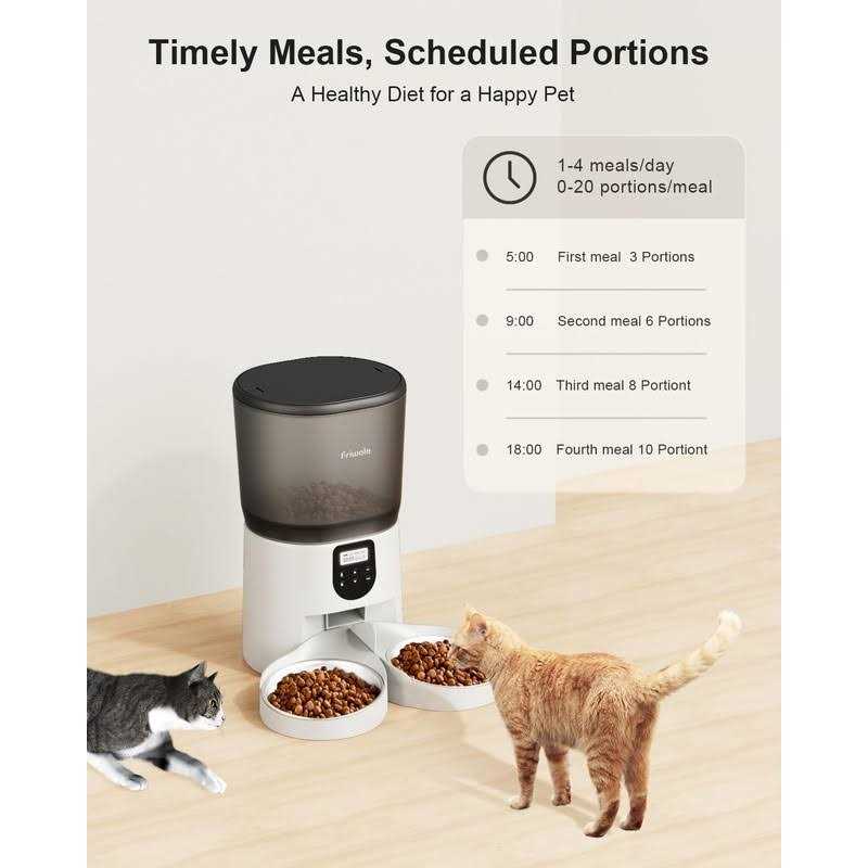 6L Automatic Cat Feeder with Double Bowls V4988