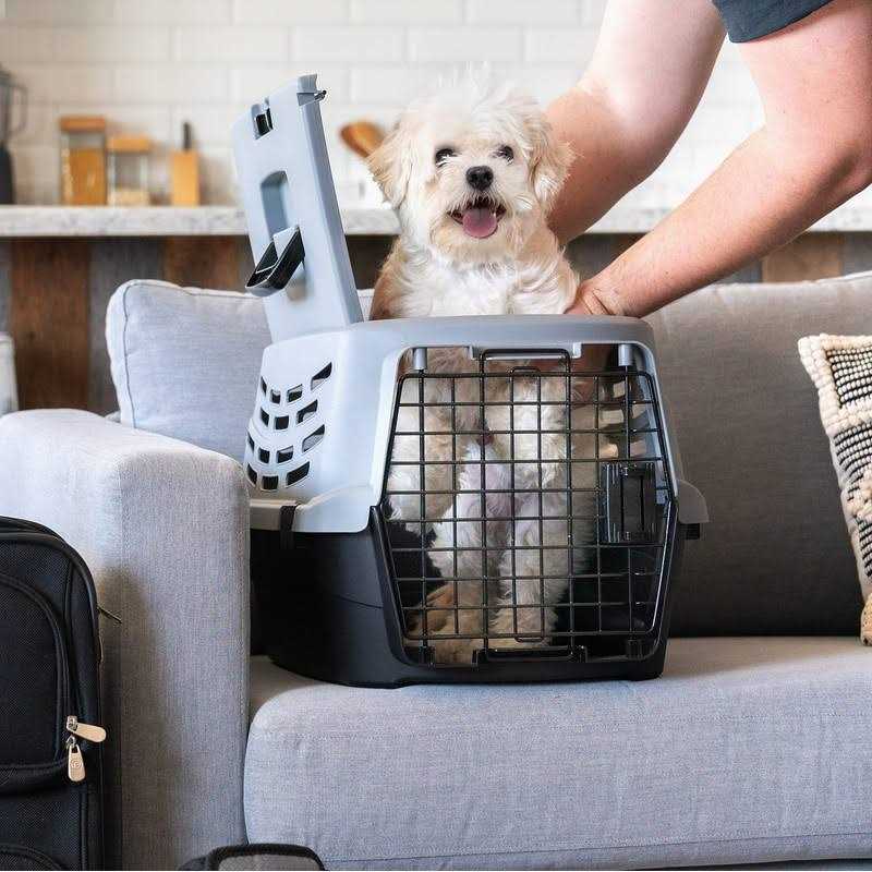 Small Pet Travel Carrier with Front and Top Access Q5793