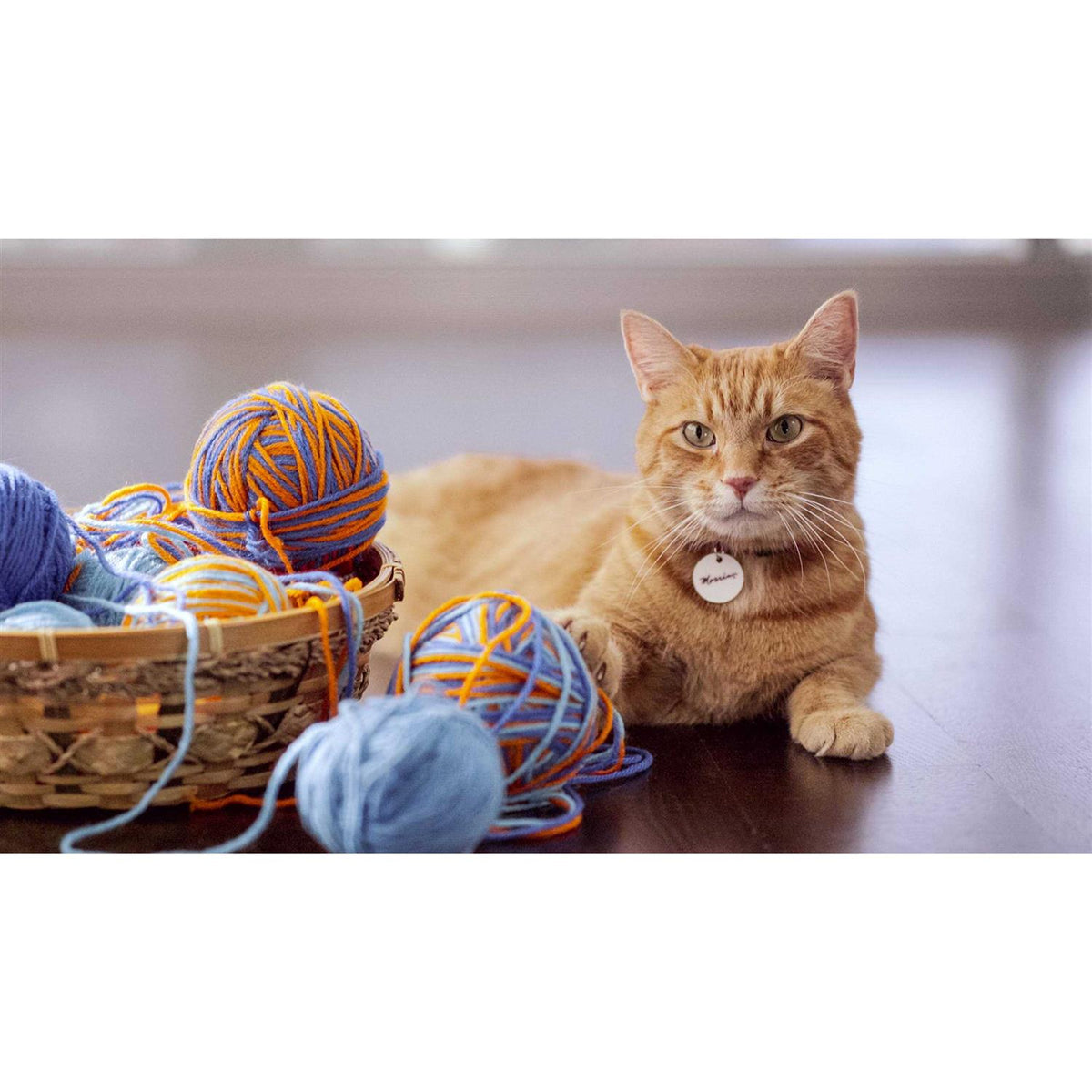Indoor Complete Cat Food S5145