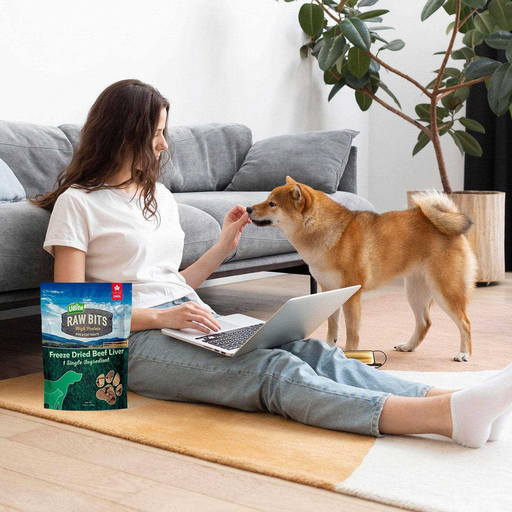 Freeze-Dried Beef Liver Dog Cat Treats R767