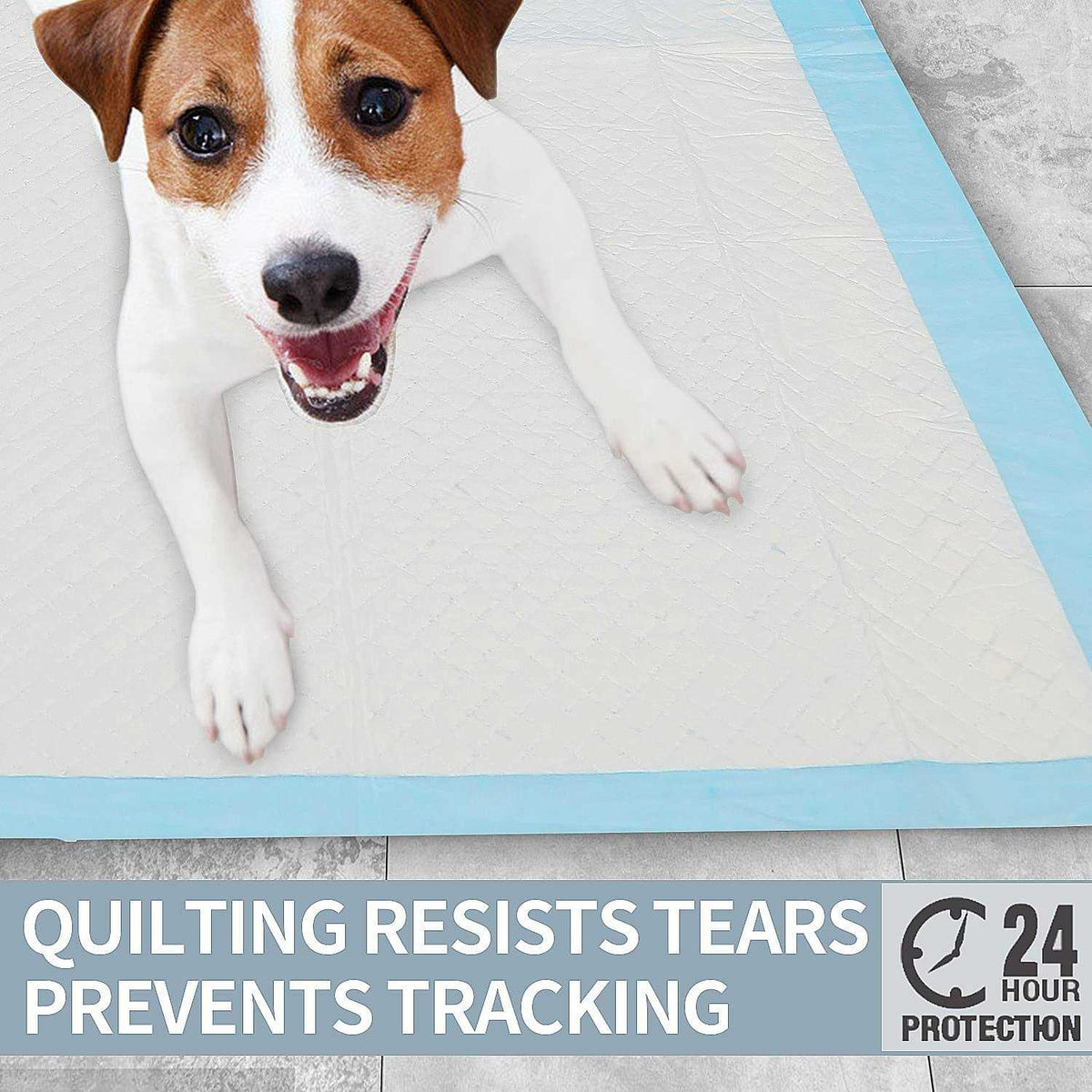 Super Absorbent & Leak-Proof Dog Pee Training Pads V7973