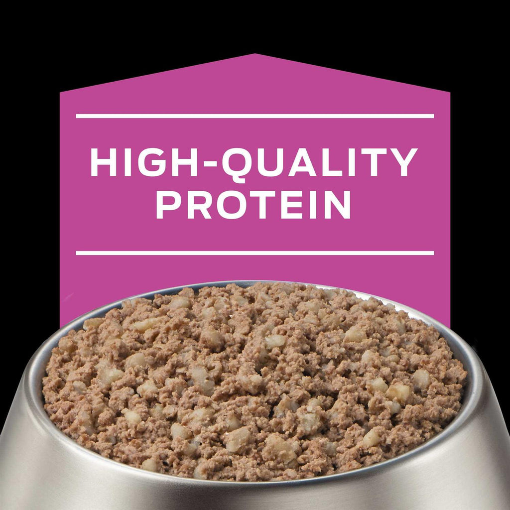 Wet Dog Food K9419