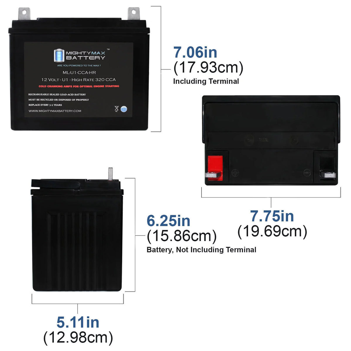 12V 320CCA Battery P232788