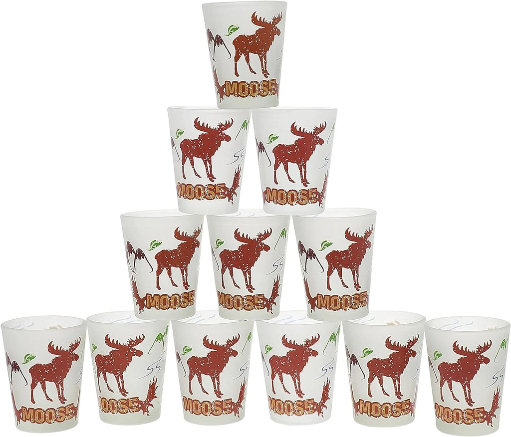 Tequila Shot Glasses 2oz Set of 12 G3009