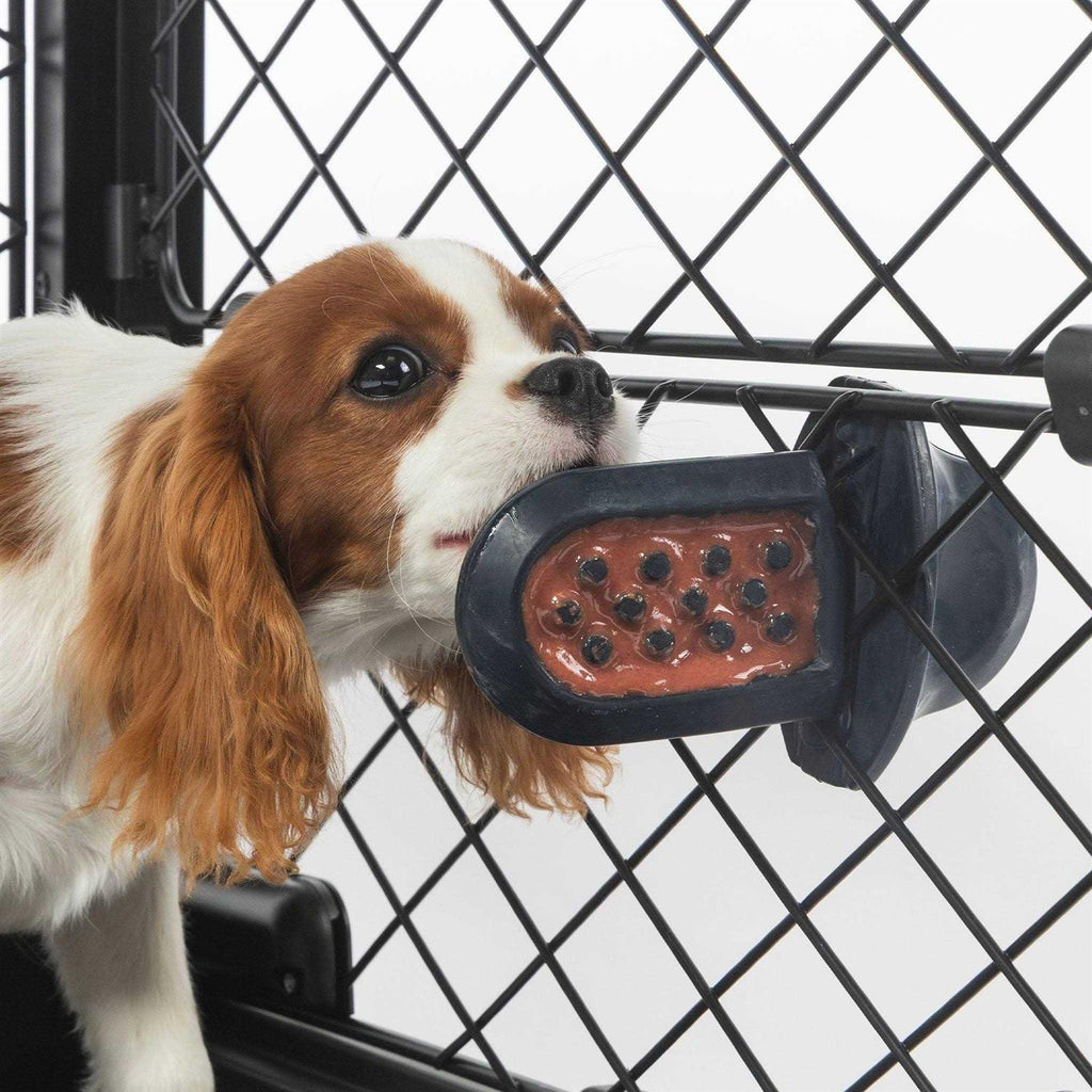 Dog Crate Training Aid L2273