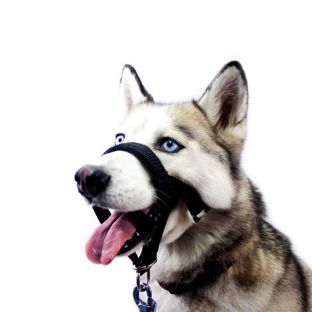 Dog Head Collar No Pull Training Tool F560
