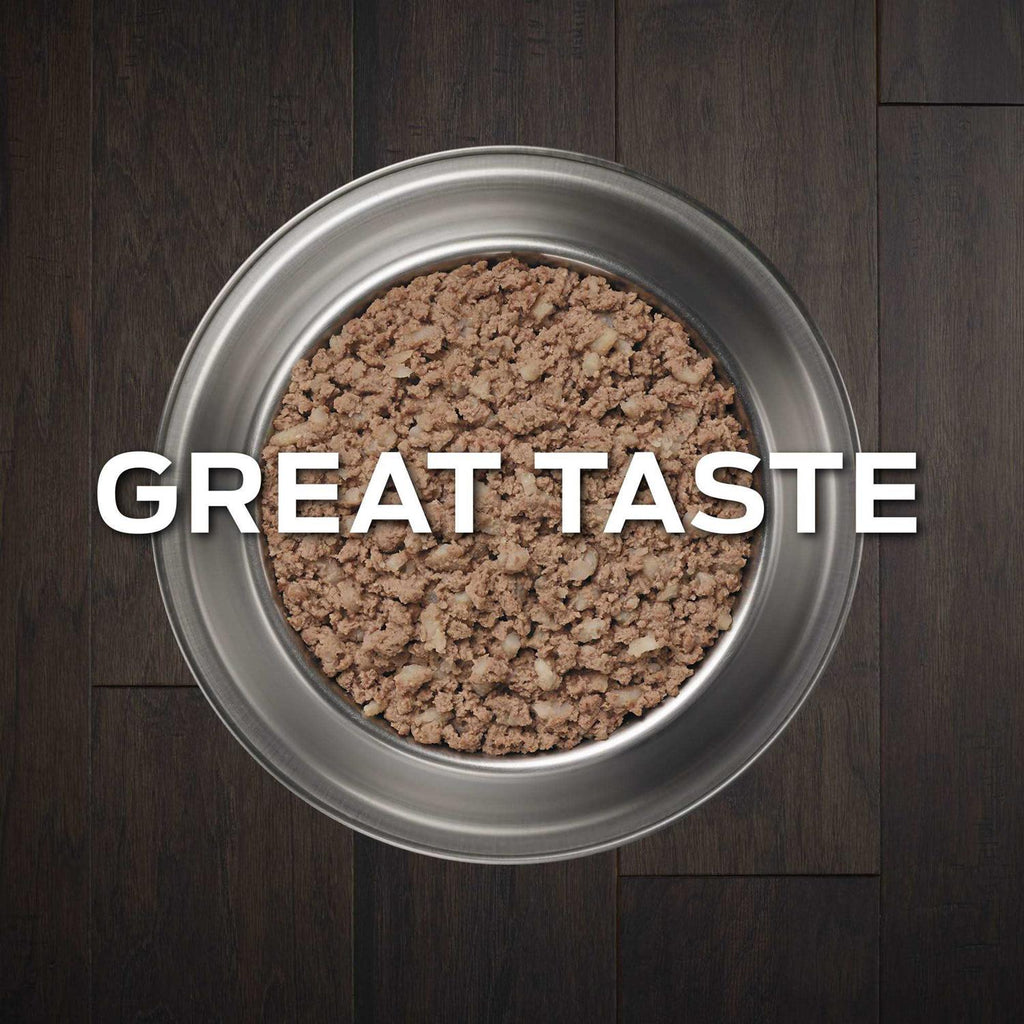 Wet Dog Food K9419