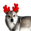 Christmas Reindeer Small Dog Antlers X243336