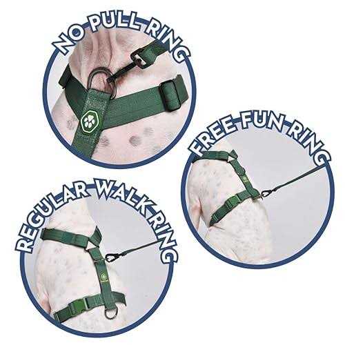 No-Pull Dog Harness Z385090