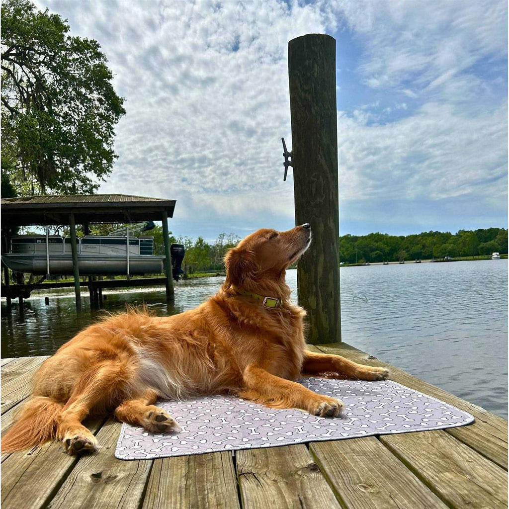 Bone Print Washable Reusable Pee Pads for Dogs G2427