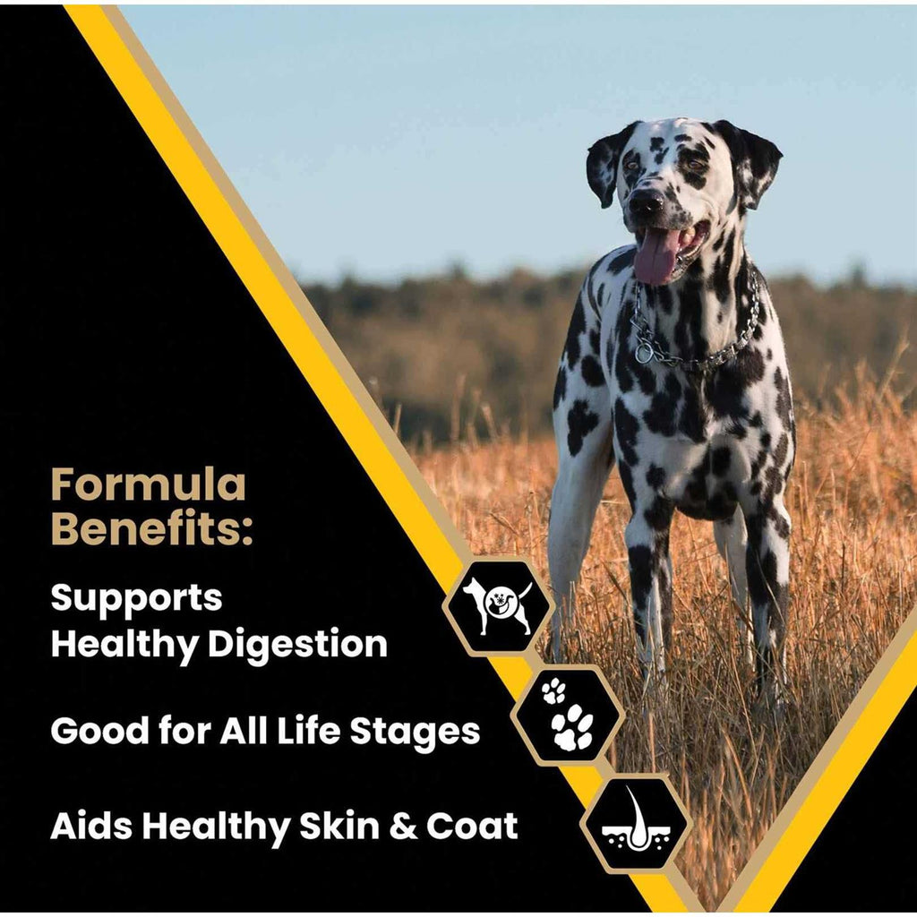 Dog Food Y973710