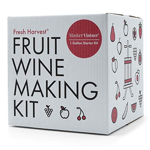 One Gallon Fruit Wine Making Kit G953