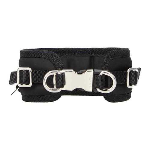 Pet Collar U125