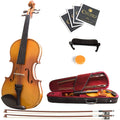 4/4 Solid Wood Violin with Hard Case T845