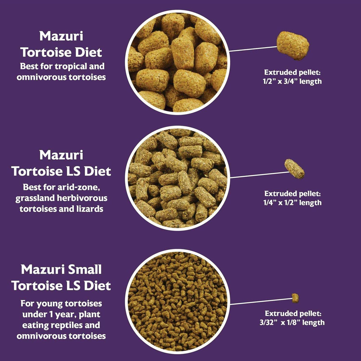 Small Tortoise Diet Food H293
