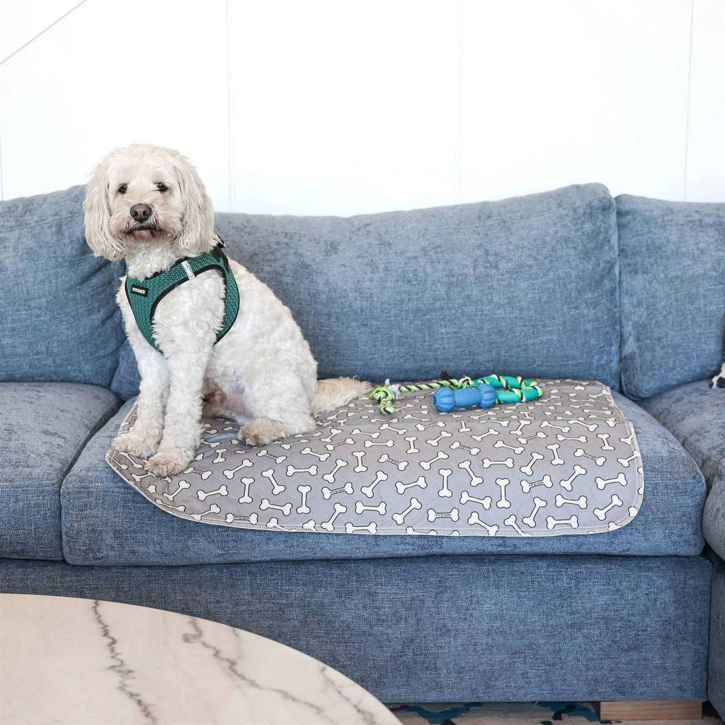 Bone Print Washable Reusable Pee Pads for Dogs G2427
