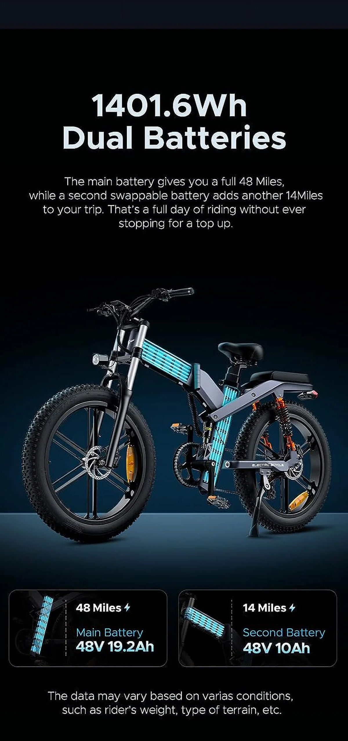 24'' Fat Tire 1000W Electric Bike T126661