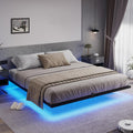 Queen Size Black Metal Platform Bed Frame with LED Lights Q4750