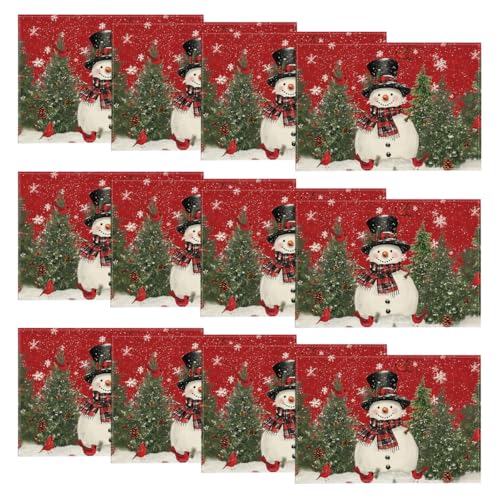 Snowman Cardinals Trees Christmas Placemats Set of 4 M19693