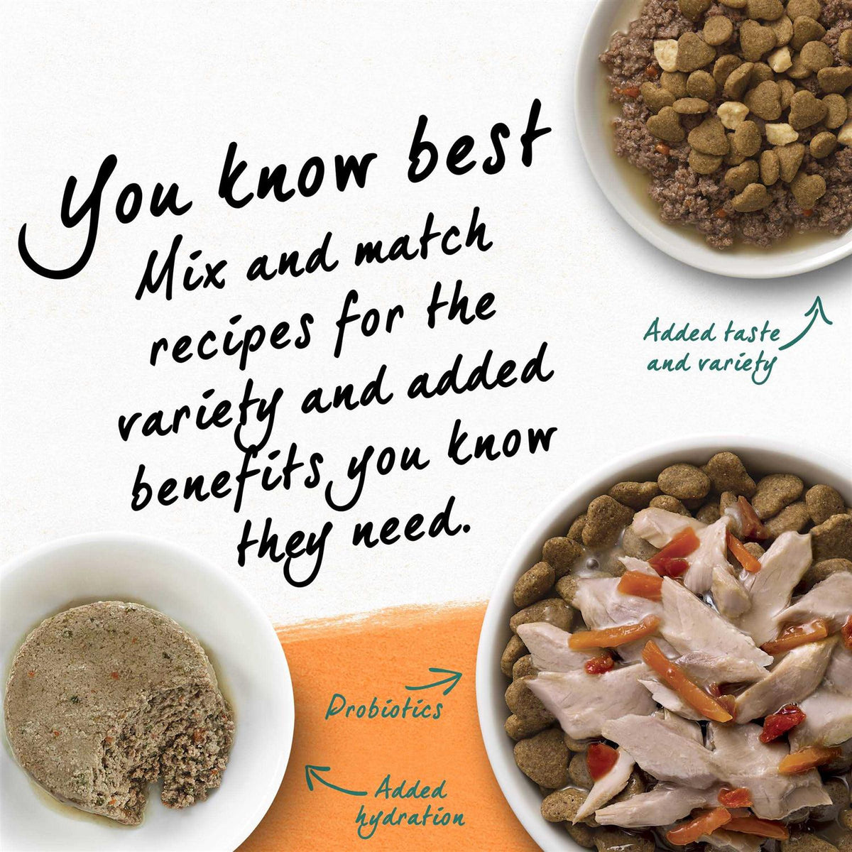 Grain Free White Meat Chicken & Egg Recipe Natural Dry Cat Food Q718