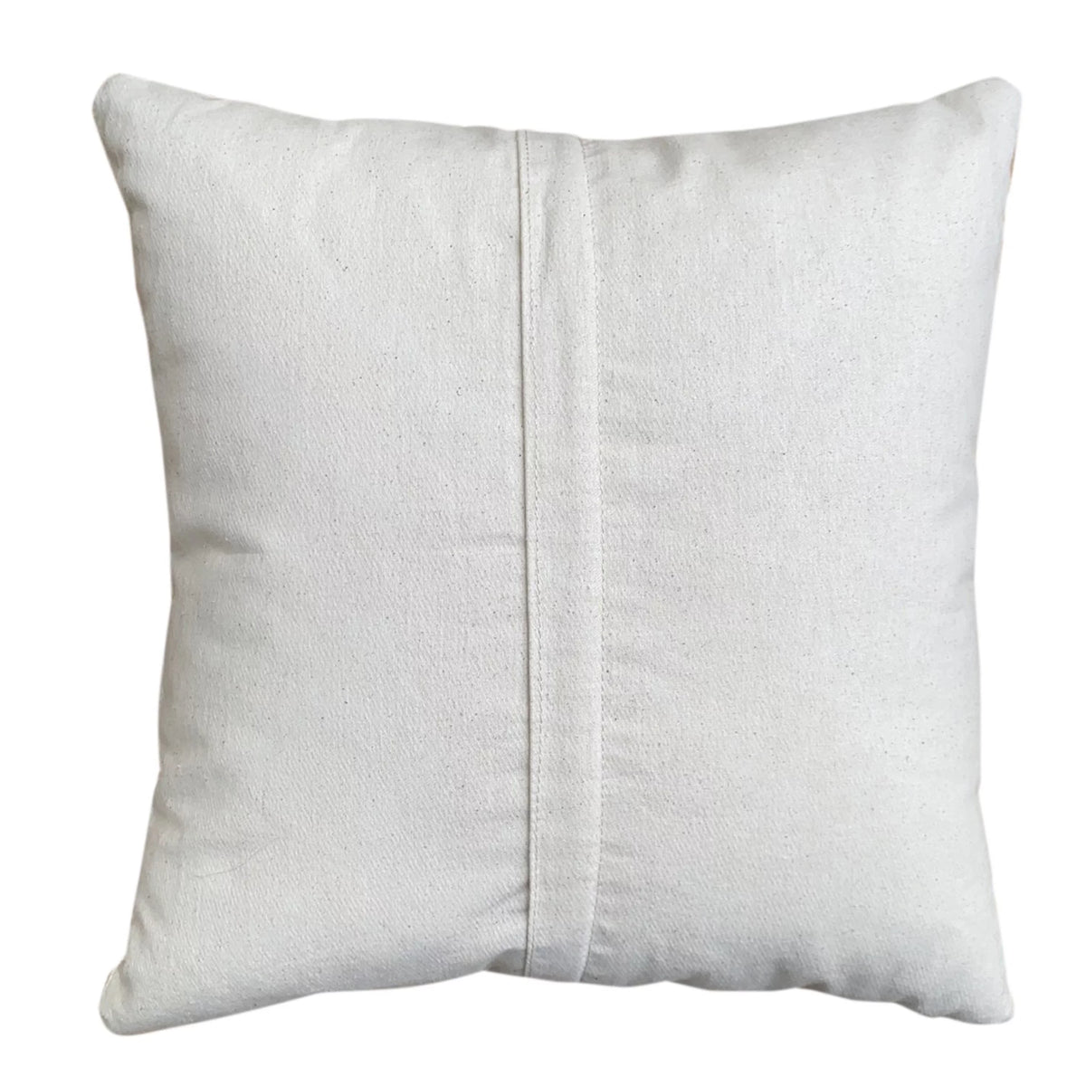 17 x 17 Inch 2 Piece Cotton Throw Pillow Set O410