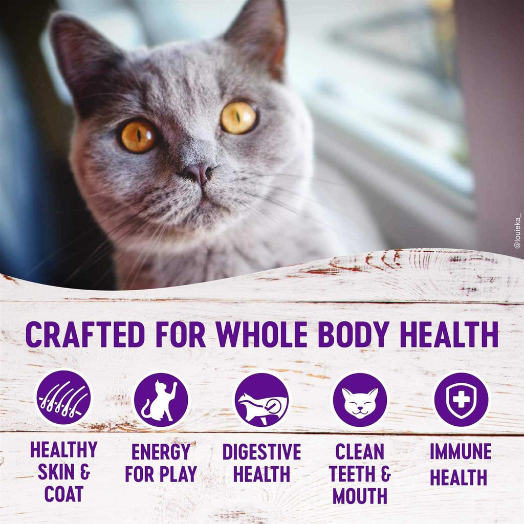 Grain-Free Deboned Chicken Dry Cat Food E46016