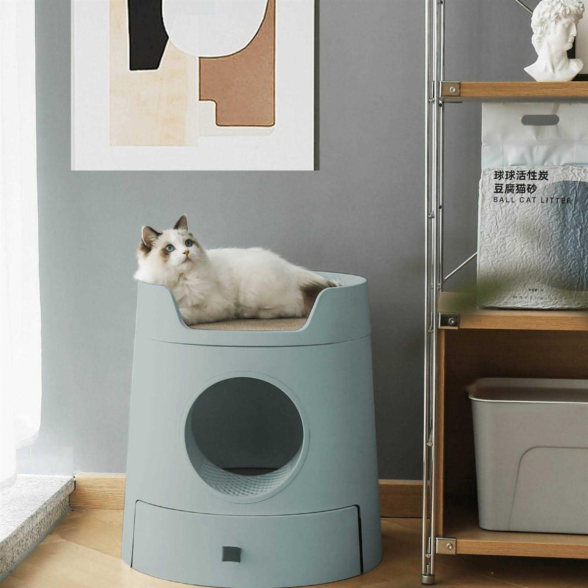 XL 2-in-1 Cat Litter Box with Scratch Basin K66777