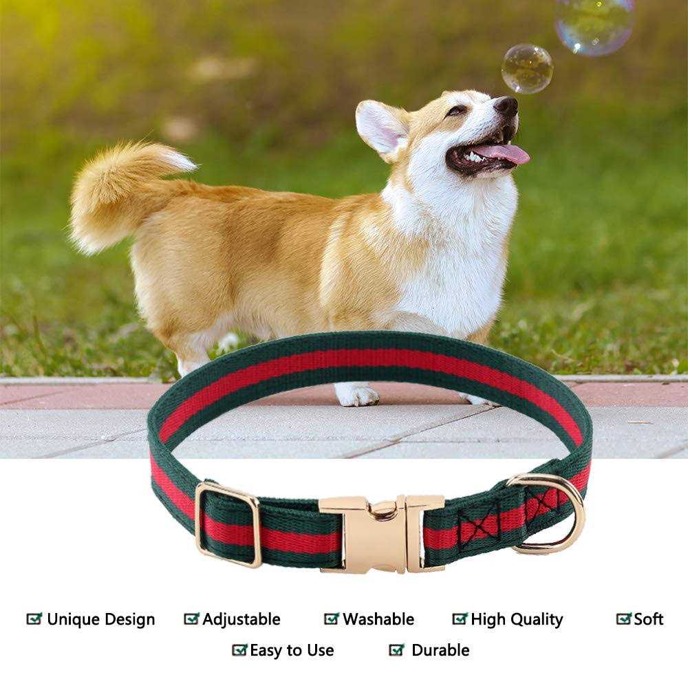 Adjustable Dog Collar with Metal Buckle O737