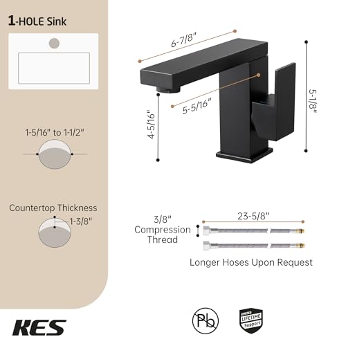 Matte Black Stainless Steel Swivel Bathroom Faucet L59896